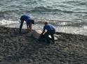 Тело женщины обнаружили в море в Очамчыре