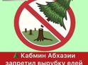 Кабмин Абхазии запретил вырубку елей и пихт к Новому году.