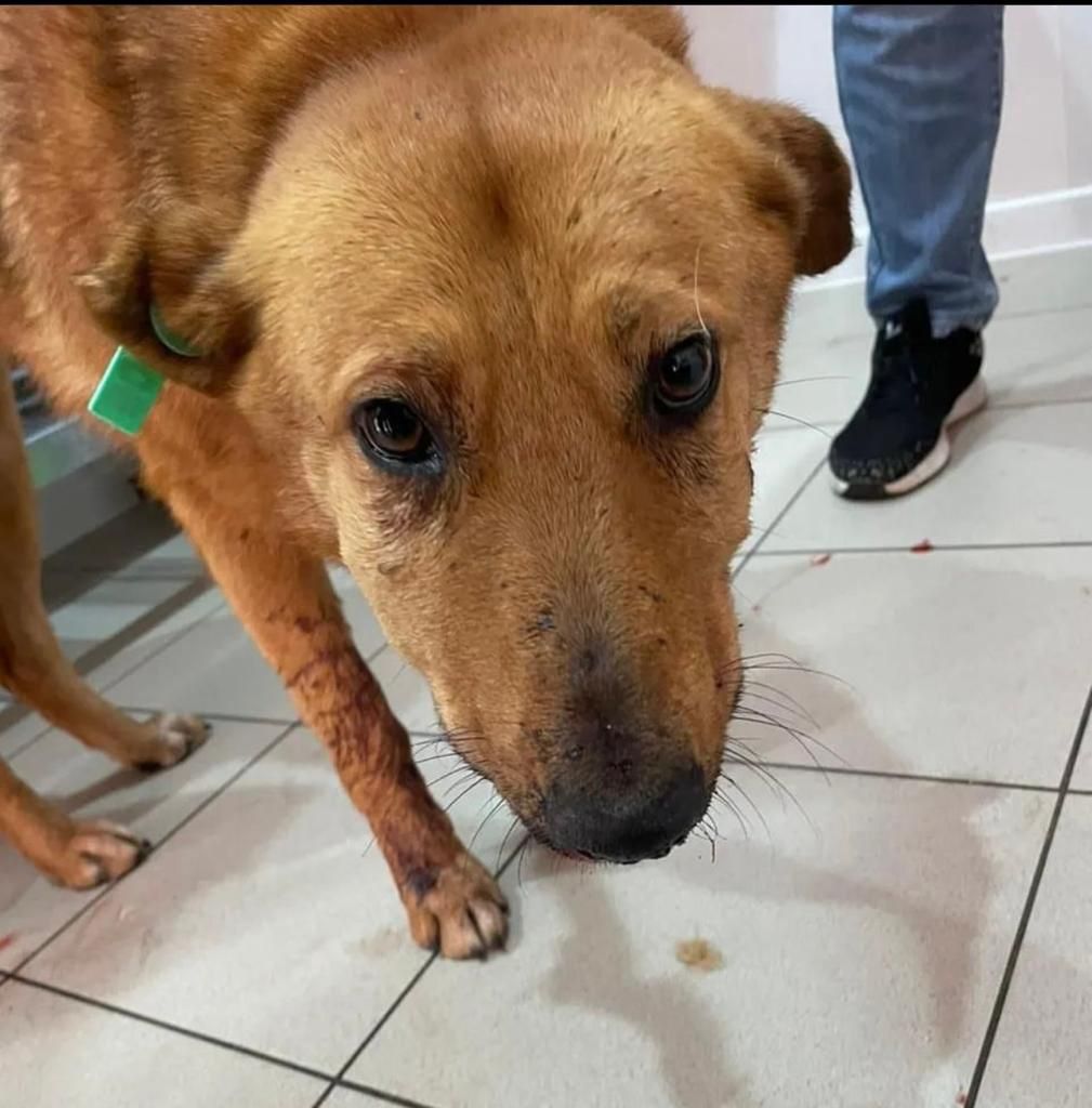 Абхаз Авто. Абхазия. Abkhaz-auto.ru | Новости Абхазии, Абхазия сегодня ...