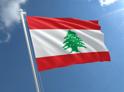 Глава МИД Абхазии посетил Ливан