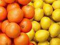 С начала мандаринового сезона в Россию экспортировано почти 22 тысячи тонн цитрусовых