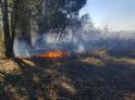 МЧС: ситуация с природными возгораниями в Абхазии продолжает оставаться напряженной