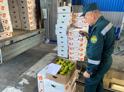 Более 280 тонн сельхозпродукции ввезено в Россию из Абхазии с начала октября