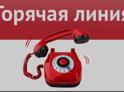 Кабмин Абхазии открыл горячую линию