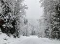 Дорогу на Ауадхару из-за снегопада и гололеда закроют в понедельник вечером,  15 декабря.