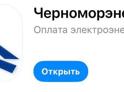 Более миллиона рублей было оплачено за электричество через приложение «Черноморэнерго».