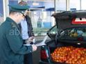 Российские таможенники не пропустят без фитосанитарного контроля более 15 цветов и 5 кг фруктов и овощей 