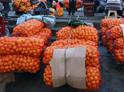Неурожай, "тачкисты" и посредники: как проходит экспорт цитрусовых из Абхазии