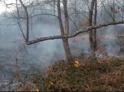 Лесной пожар в селе Верхняя Эшере Сухумского района