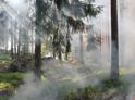 Три очага: в МЧС Абхазии рассказали о ситуации с пожарами в горах  